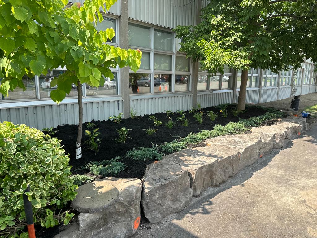 KCL planting and softscaping service