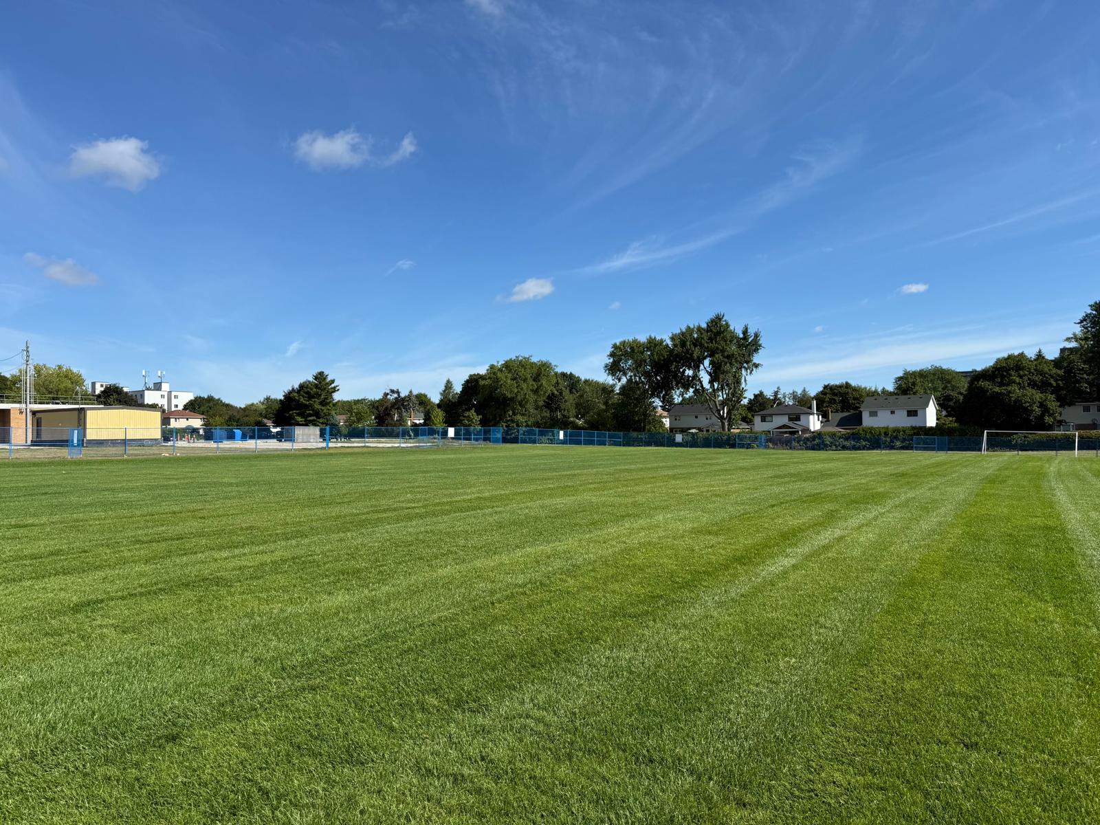 KCL lawn maintenance service detail in Toronto and Etobicoke