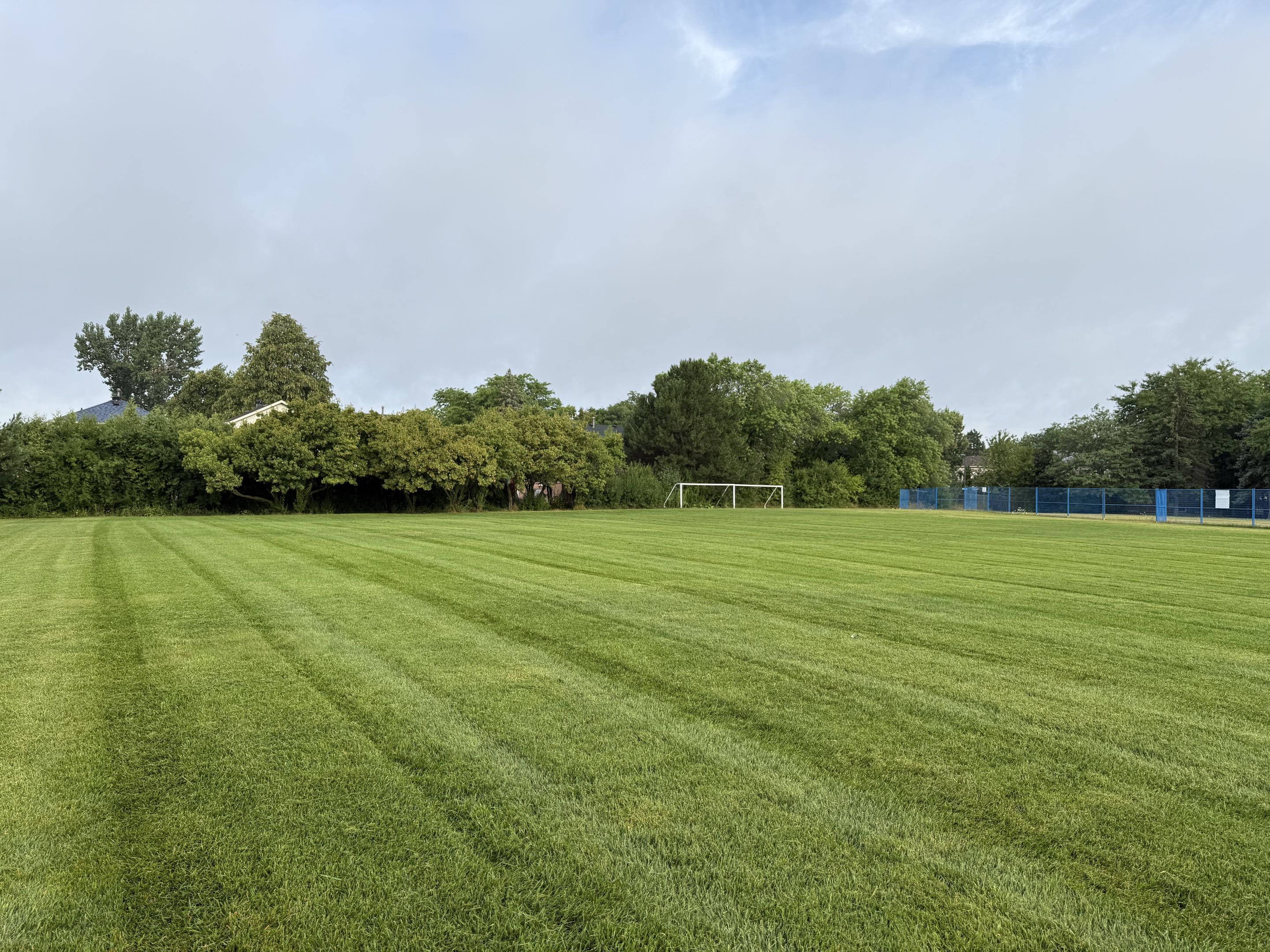 Lawn cutting project 3