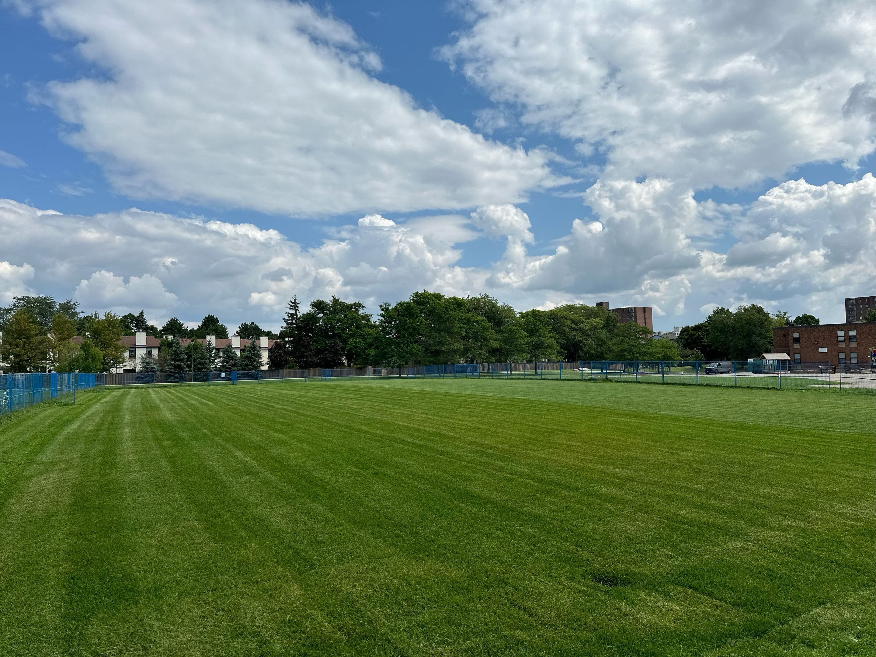 Lawn cutting project 4