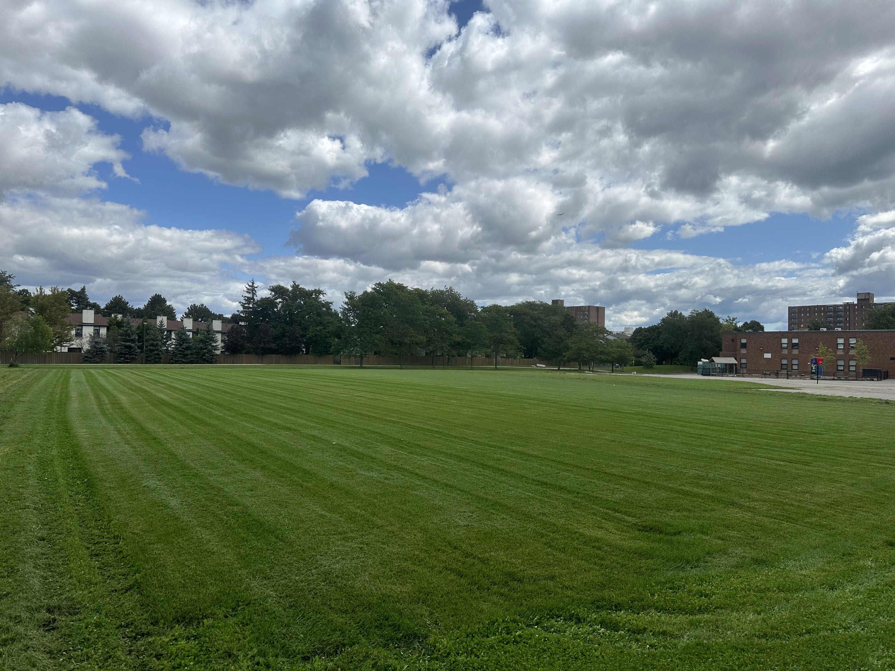 Lawn cutting project 6
