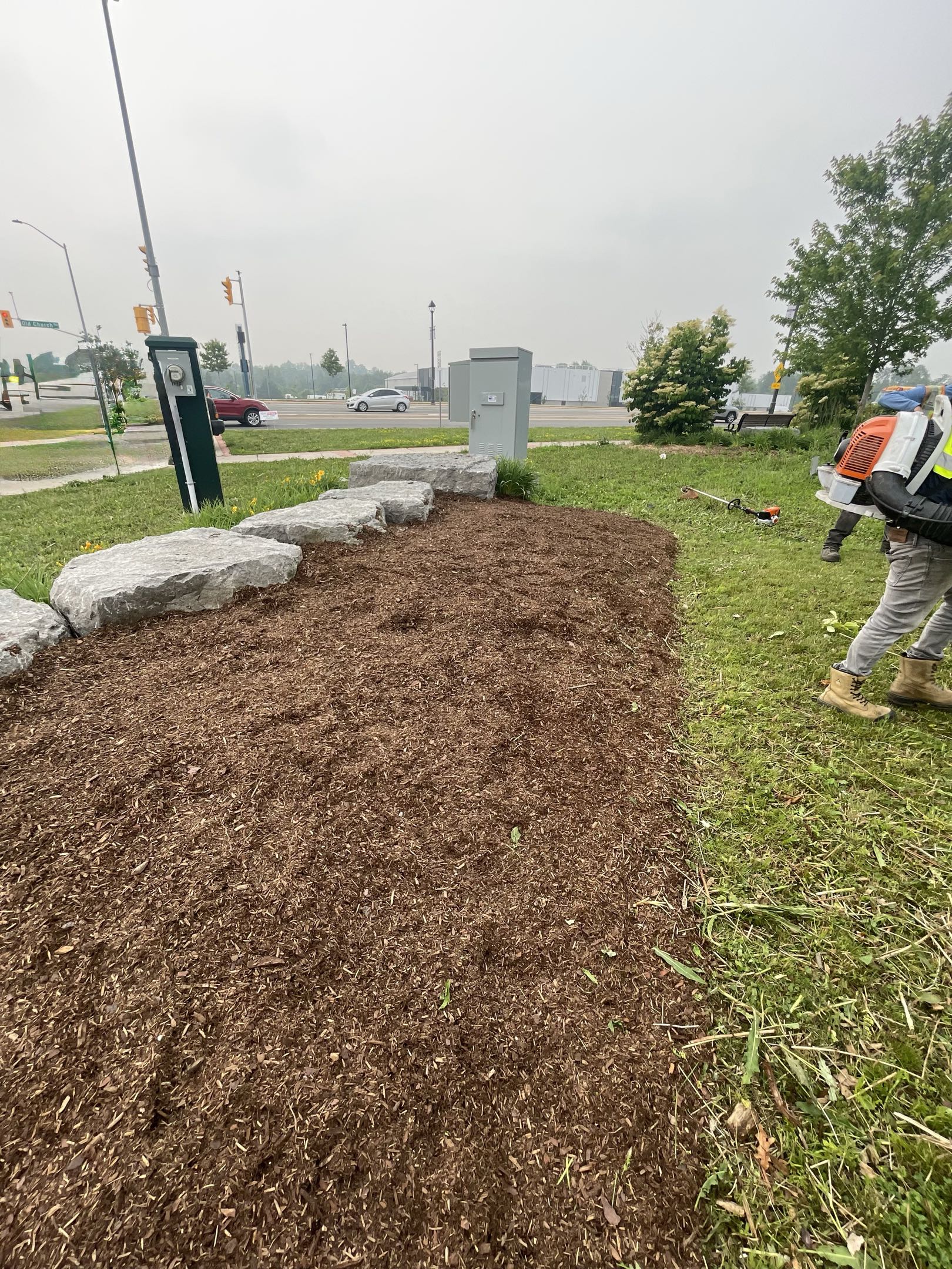 Mulch planting and armor stone project 16