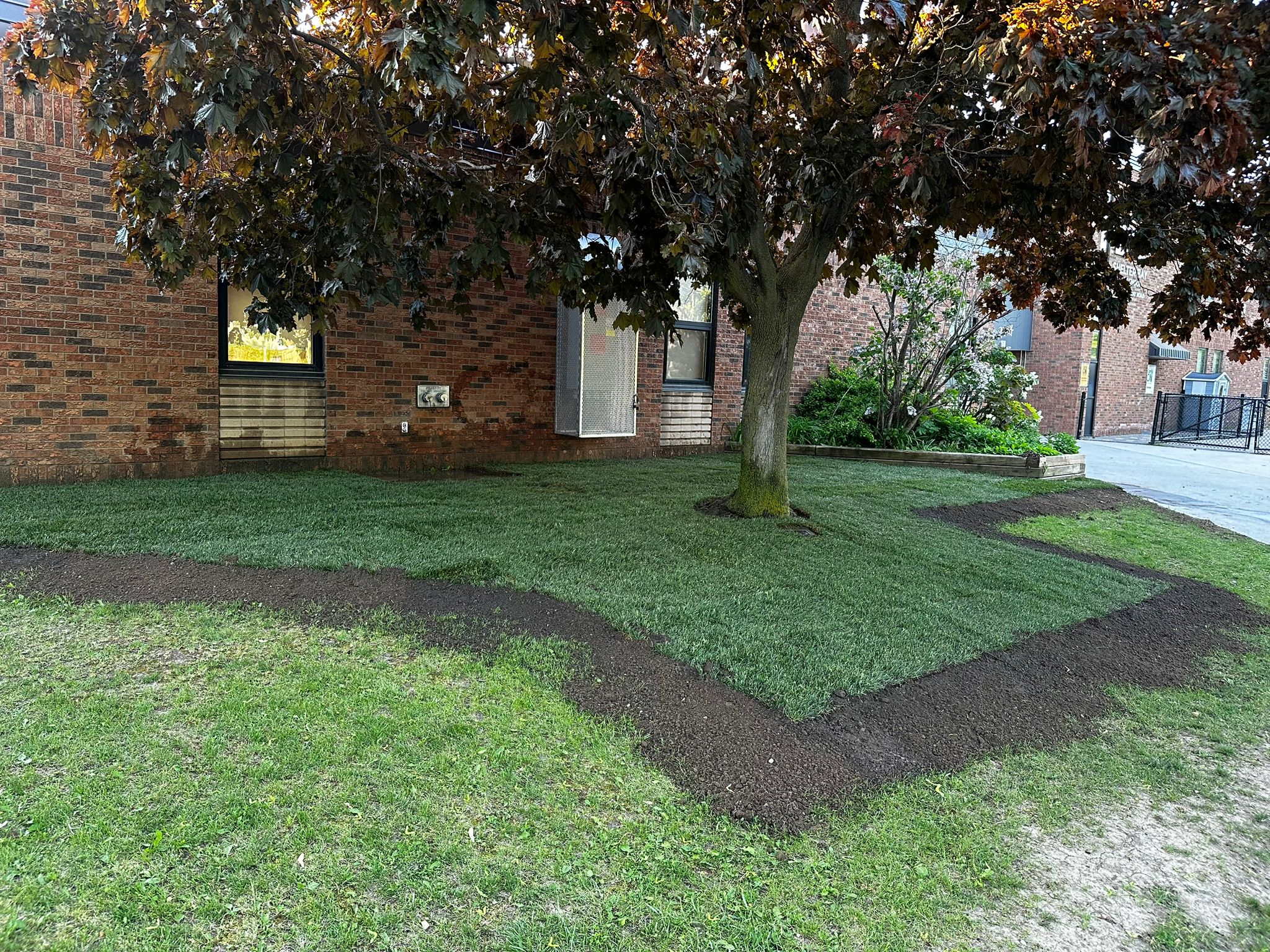 Sod job project 4